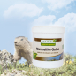 Preview: Murmeltier Salbe  200ml