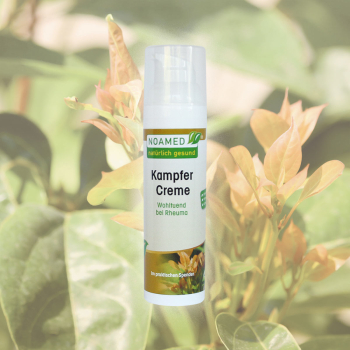 Kampfer Creme  75ml  im Spender