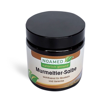 Murmeltier - Salbe  110ml  im Glas