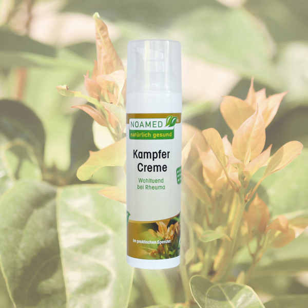 Kampfer Creme  75ml  im Spender