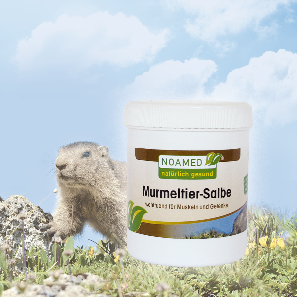 Murmeltier Salbe  200ml