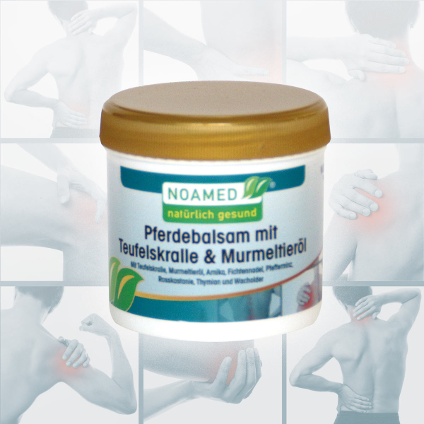 Pferdebalsam mit Teufelskralle & Murmeltieröl  200ml
