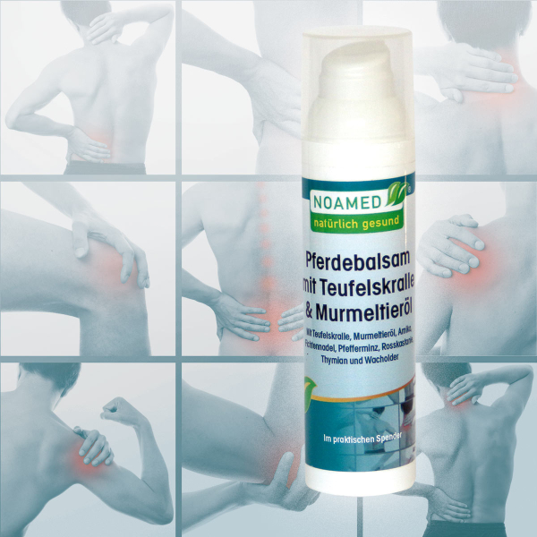 Pferdebalsam mit Teufelskralle & Murmeltieröl  75ml im Spender